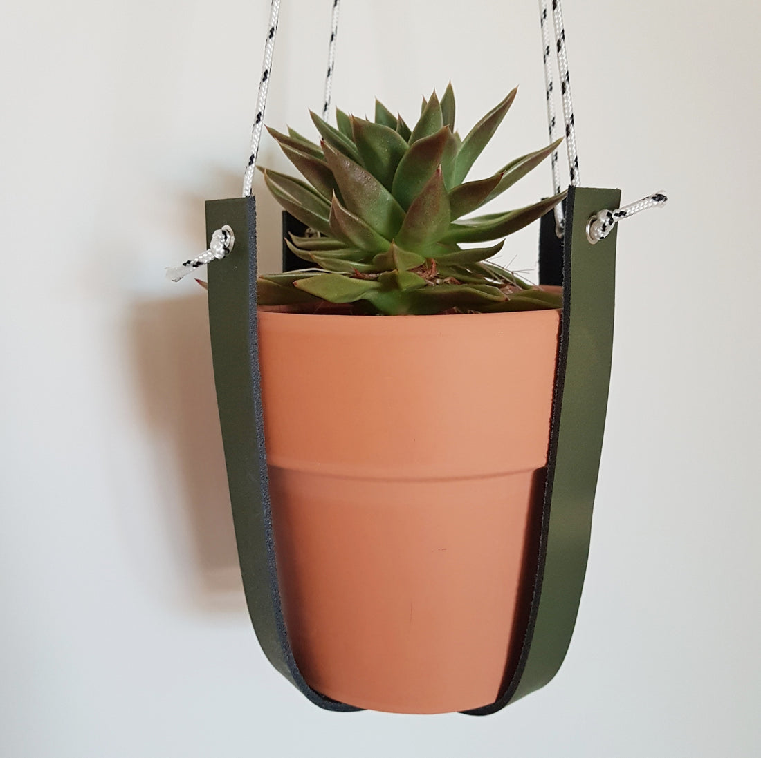 Plantenhanger | Leer | Legergroen